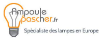 Code Promo Ampoulepascher logo