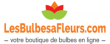 Les Bulbes à fleurs code promo