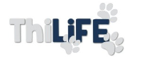 Code Promo Thilife logo