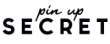 Pin Up Secret Logo