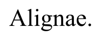 Code Promo Alignae. logo